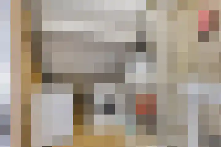 Noorderrand 33 Espel thumbnail 21