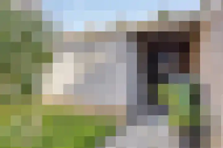 Noorderrand 33 Espel thumbnail 26