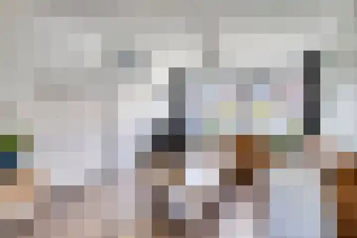 Noorderrand 33 Espel thumbnail 8