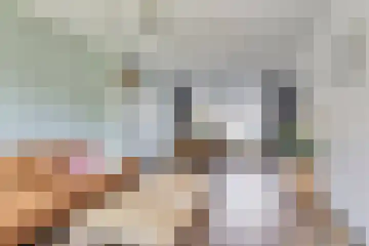 Noorderrand 33 Espel thumbnail 9