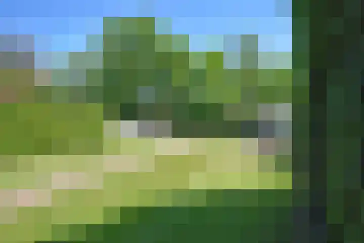 Noordersingel 28 Burgum thumbnail 6