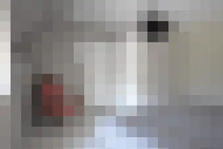 Noordersingel 28 Burgum thumbnail 69