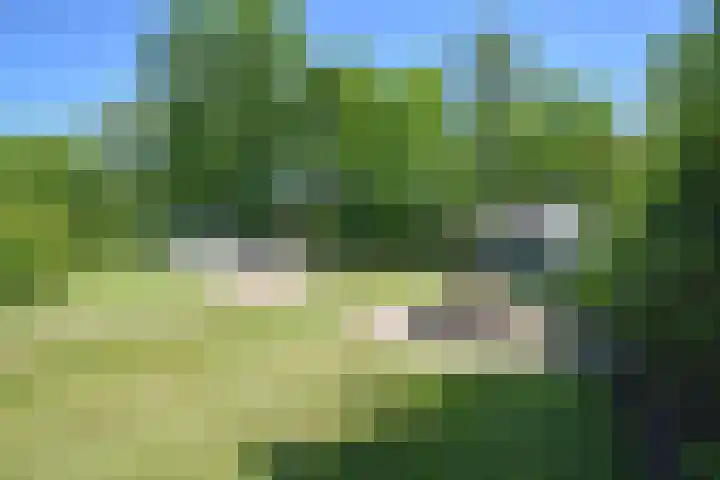 Noordersingel 28 Burgum thumbnail 7