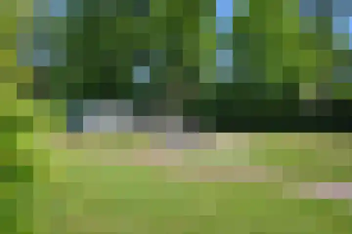 Noordersingel 28 Burgum thumbnail 8