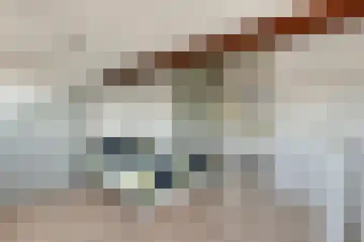 Noordersingel 37 Barendrecht thumbnail 22