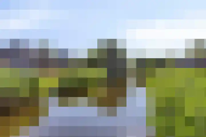 Noordersingel 37 Barendrecht thumbnail 28