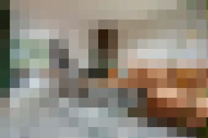 Noordersingel 4 a Appingedam thumbnail 19