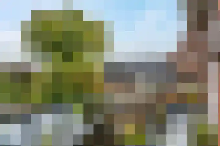 Noordersingel 4 a Appingedam thumbnail 24
