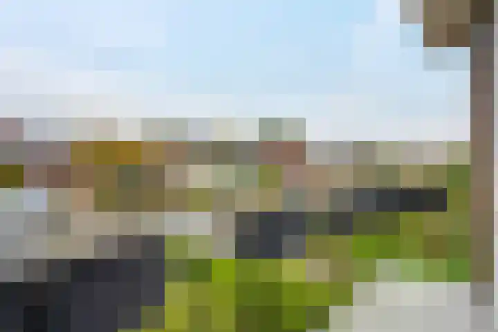 Noordersingel 4 a Appingedam thumbnail 36