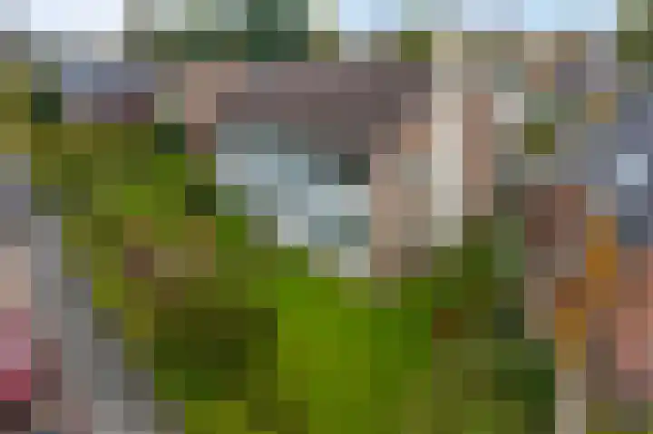 Noordersingel 4 a Appingedam thumbnail 8