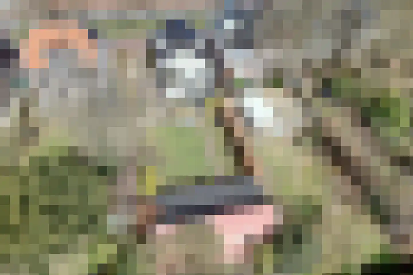 Noorderstraat 160 Sappemeer thumbnail 10