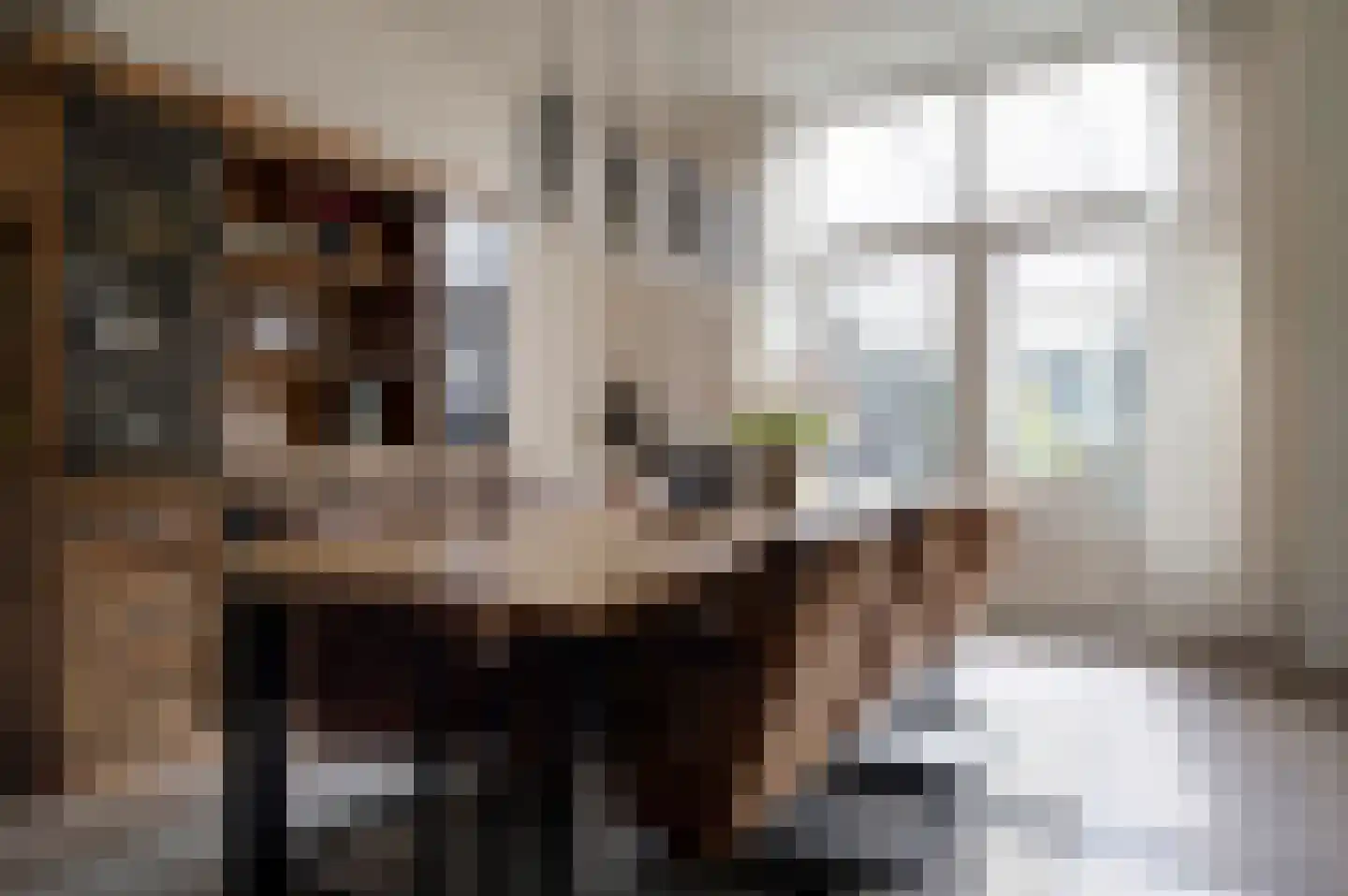Noorderstraat 160 Sappemeer thumbnail 29