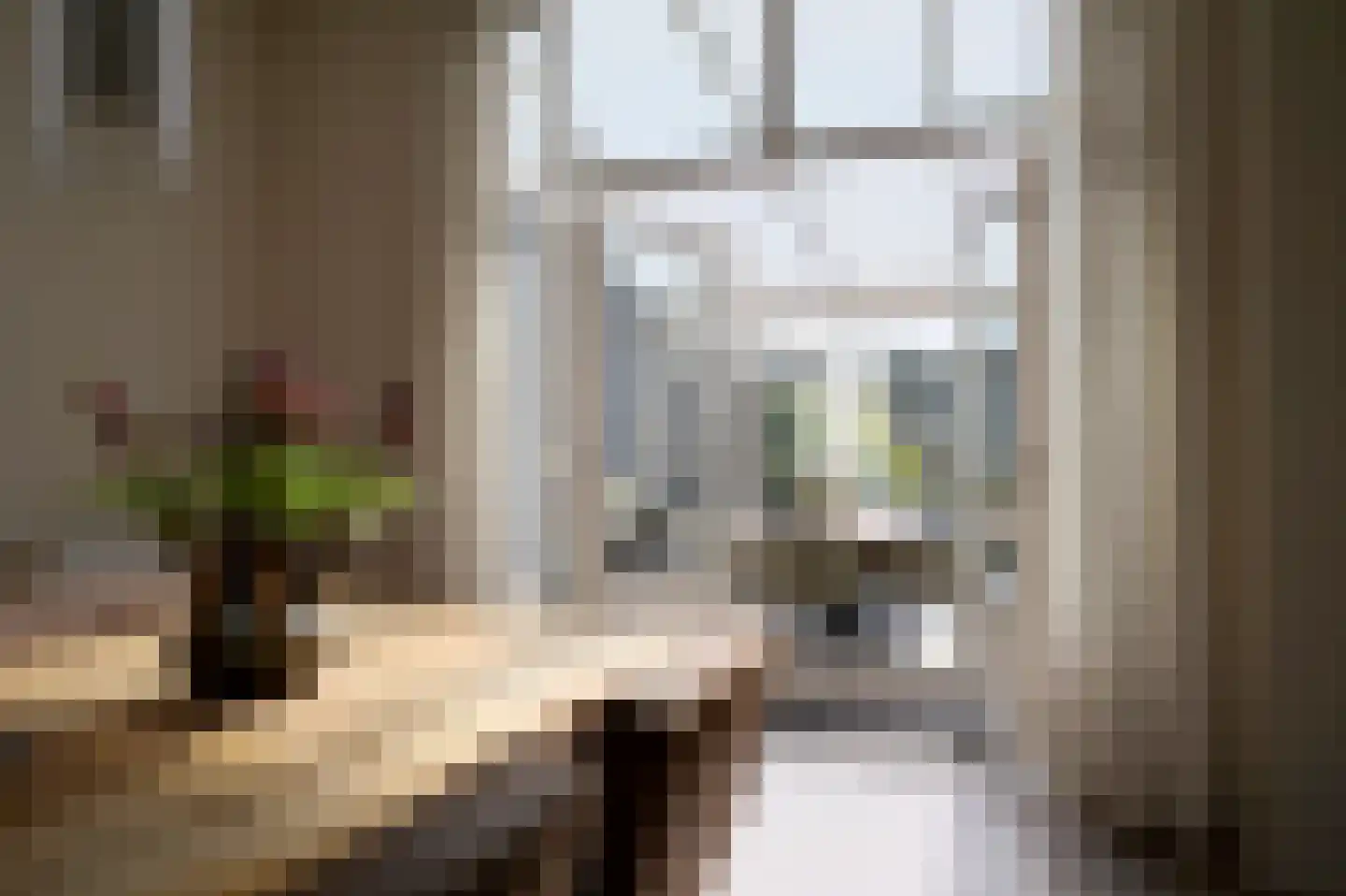 Noorderstraat 160 Sappemeer thumbnail 32