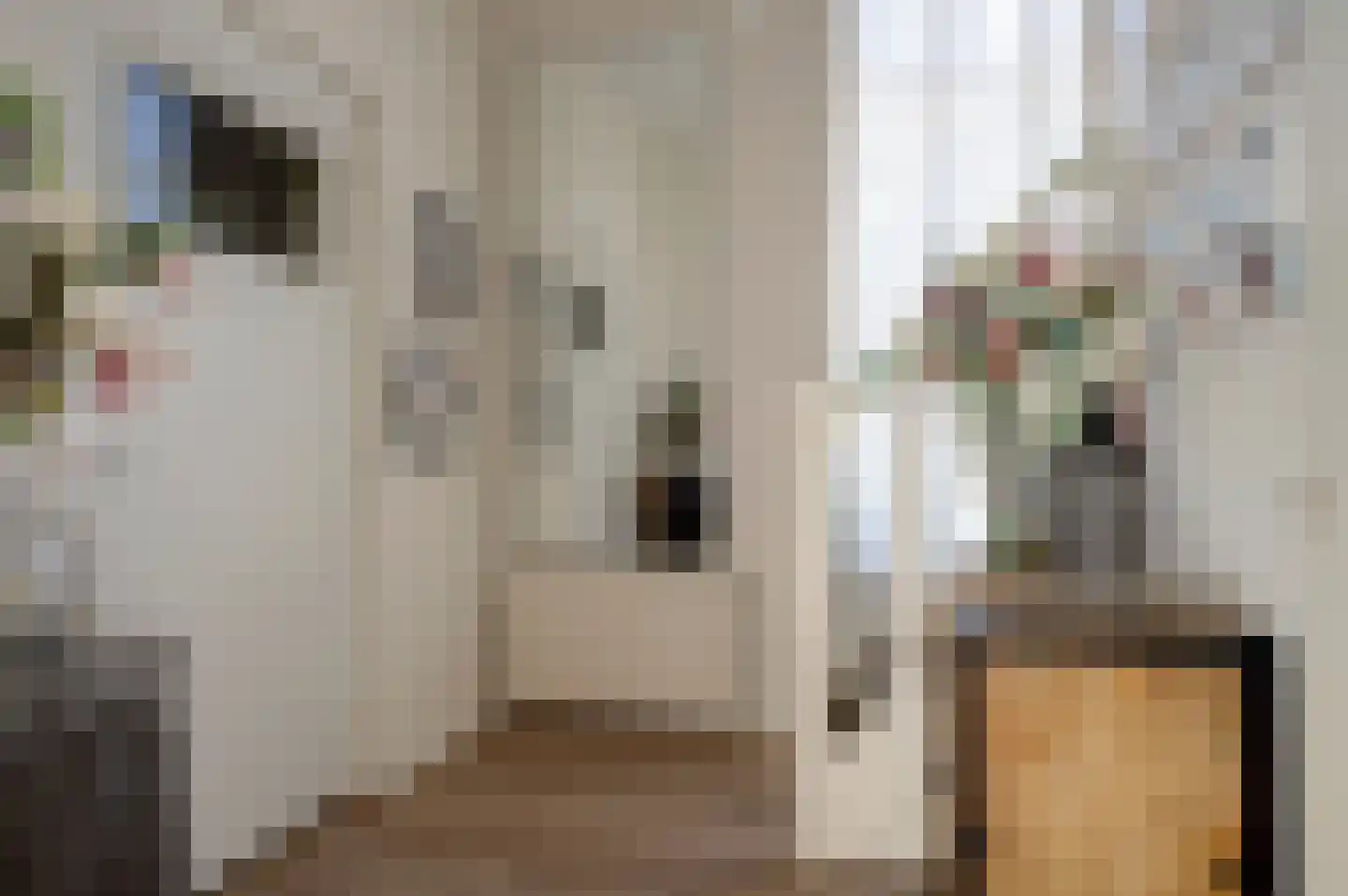 Noorderstraat 160 Sappemeer thumbnail 35