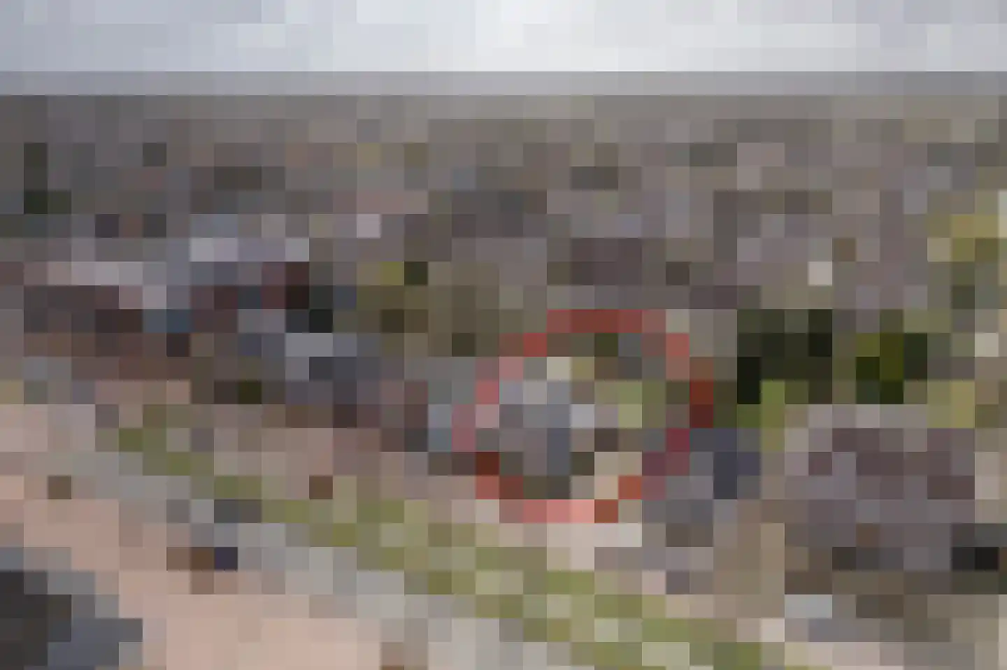 Noorderstraat 160 Sappemeer thumbnail 6