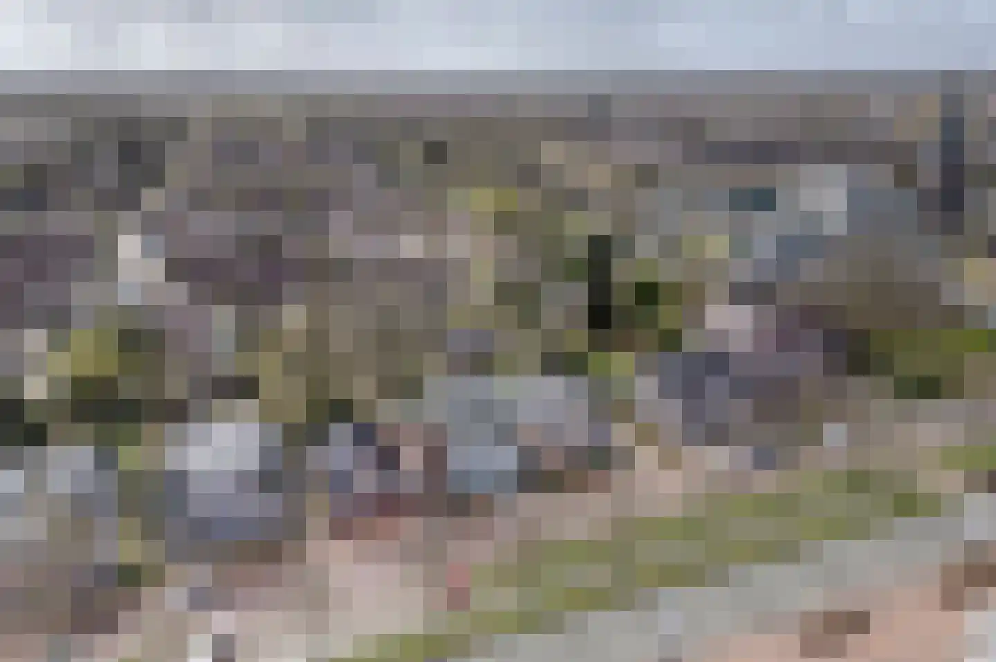 Noorderstraat 160 Sappemeer thumbnail 7
