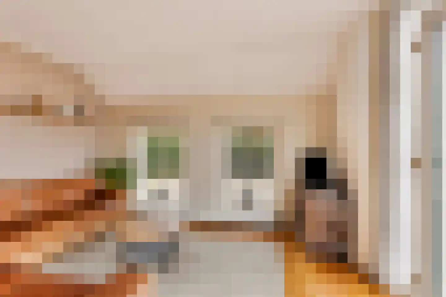 Noorderstraat 2 Buinerveen thumbnail 28