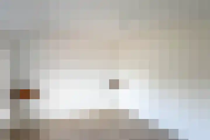 Noorderstraat 3 Dongjum thumbnail 22
