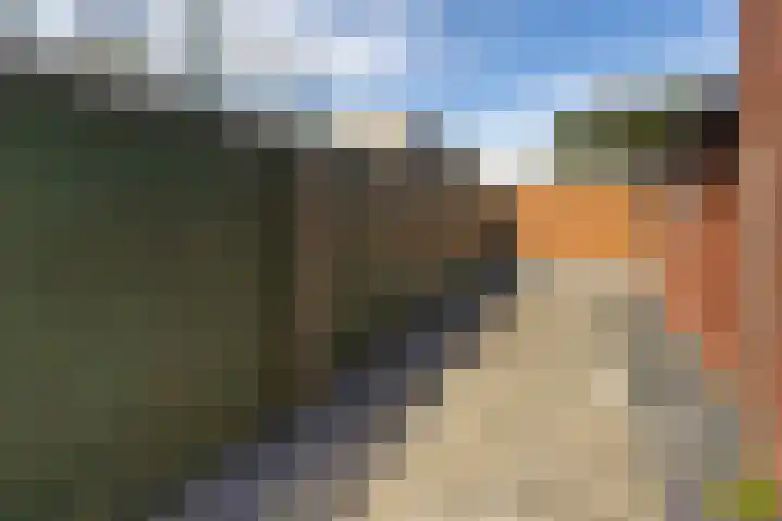 Noorderstraat 3 Dongjum thumbnail 27