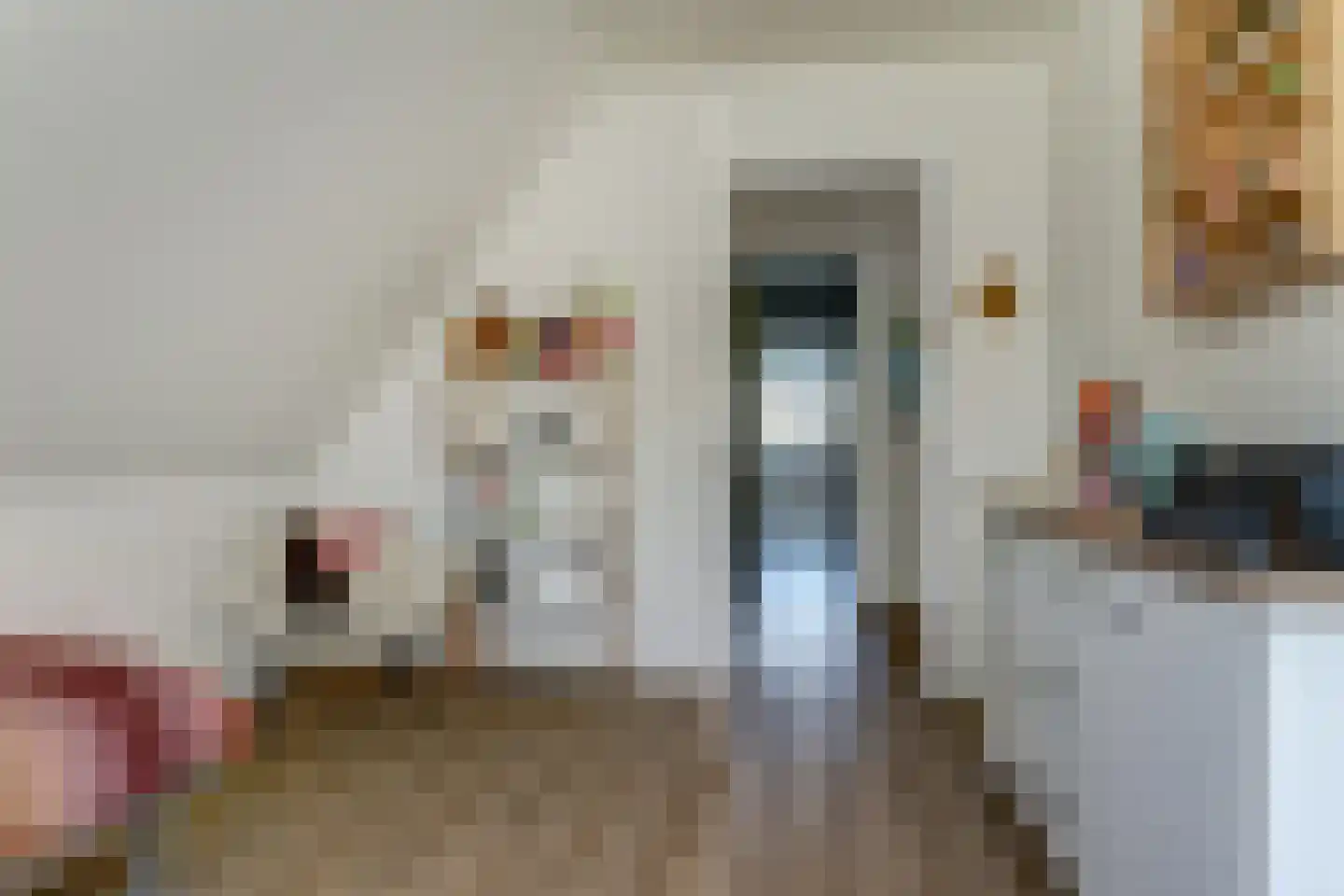 Noordervaart 41 Stompetoren thumbnail 30