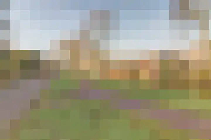Noorderveld 52 Leerdam thumbnail 45