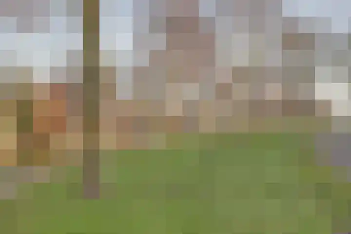 Noorderveld 52 Leerdam thumbnail 46