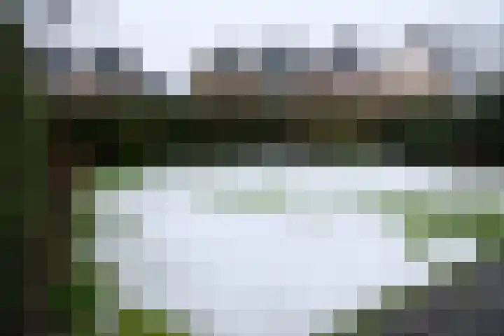 Noorderveld 56 Leerdam thumbnail 12