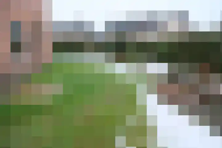 Noorderveld 56 Leerdam thumbnail 13