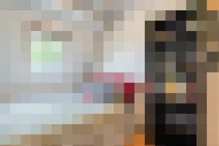 Noorderwal 1 Culemborg thumbnail 17