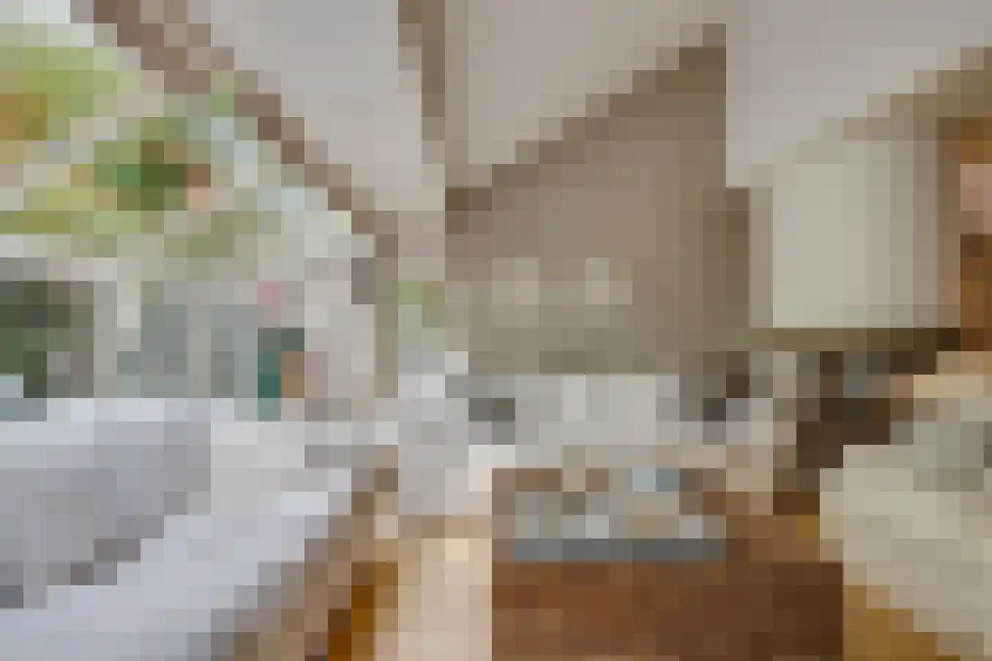 Noorderwal 1 Culemborg thumbnail 29