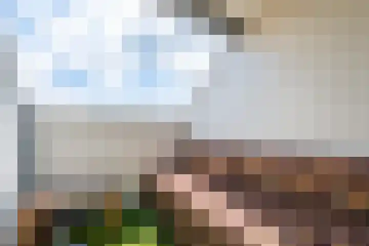 Noorderwal 1 Culemborg thumbnail 29