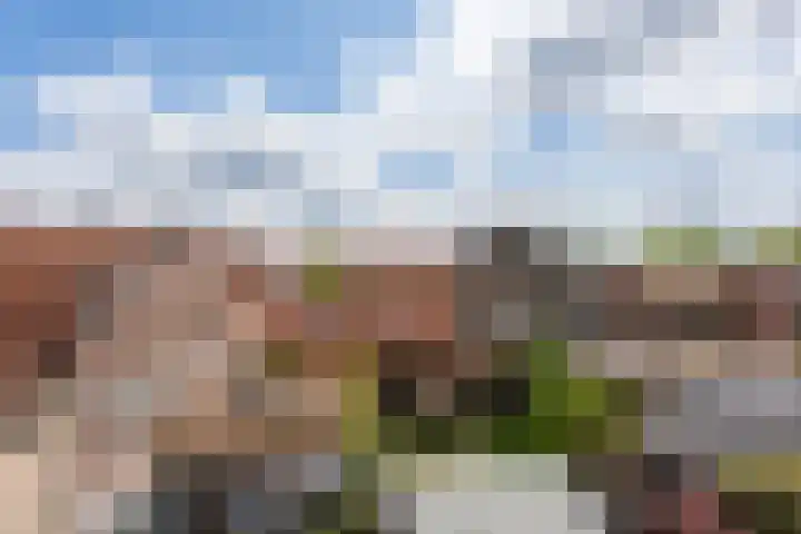 Noorderwal 1 Culemborg thumbnail 30