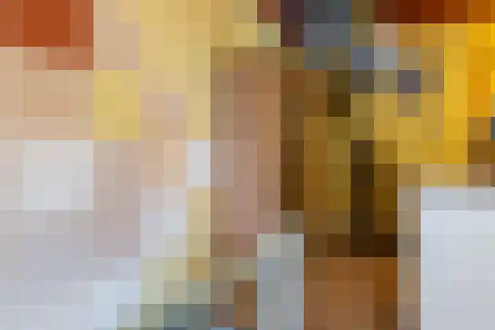 Noorderwal 1 Culemborg thumbnail 31