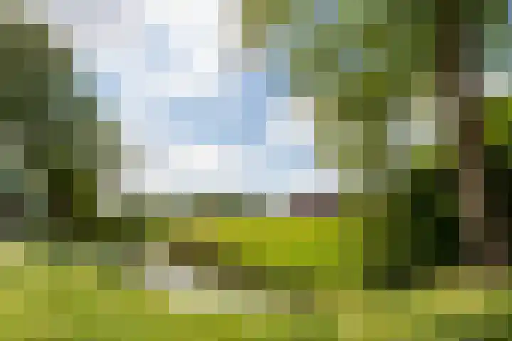 Noorderwal 1 Culemborg thumbnail 35
