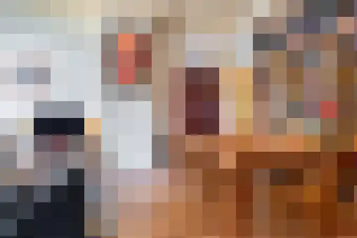 Noorderwal 1 Culemborg thumbnail 6