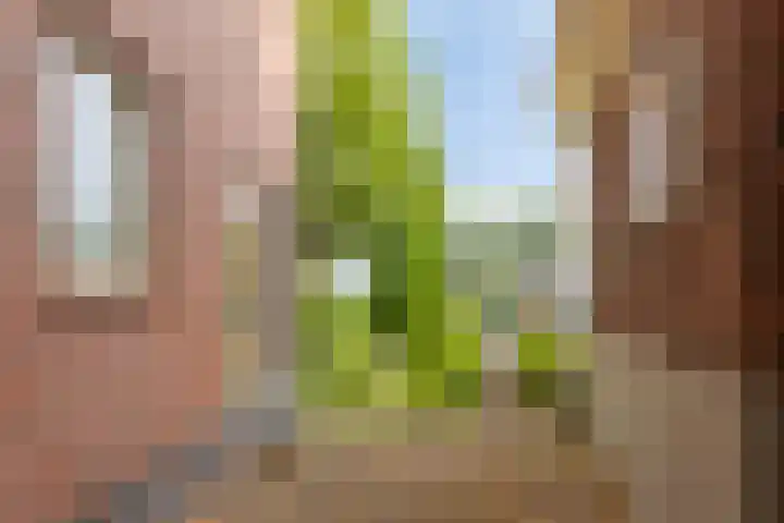Noorderwal 12 a Lochem thumbnail 47