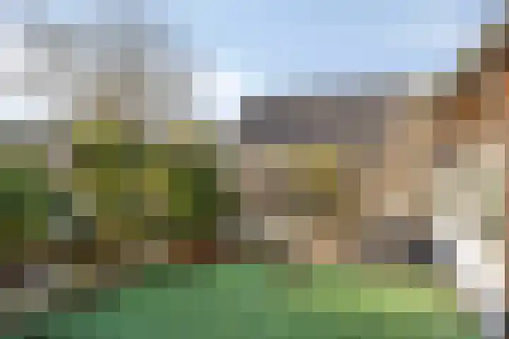 Noorderwal 19 Lochem thumbnail 27