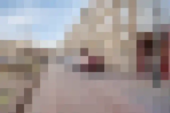 Noorderwal 30 b Lochem thumbnail 14