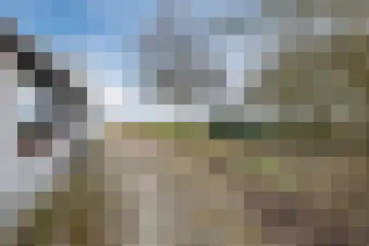 Noorderweg 45 Vroomshoop thumbnail 10