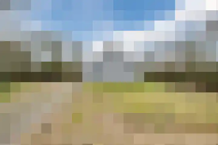 Noorderweg 45 Vroomshoop thumbnail 15