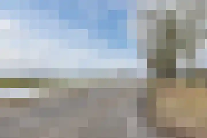 Noorderweg 45 Vroomshoop thumbnail 18