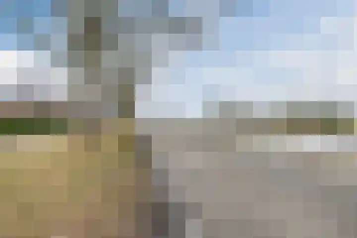 Noorderweg 45 Vroomshoop thumbnail 19