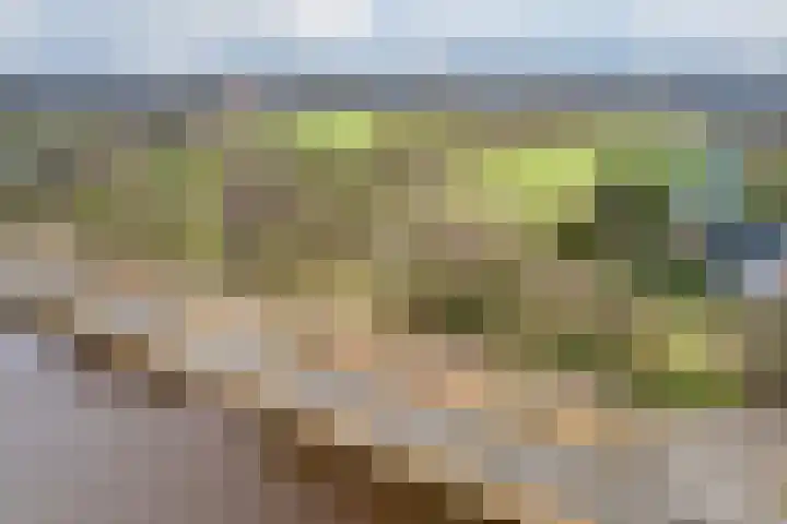 Noorderweg 45 Vroomshoop thumbnail 8