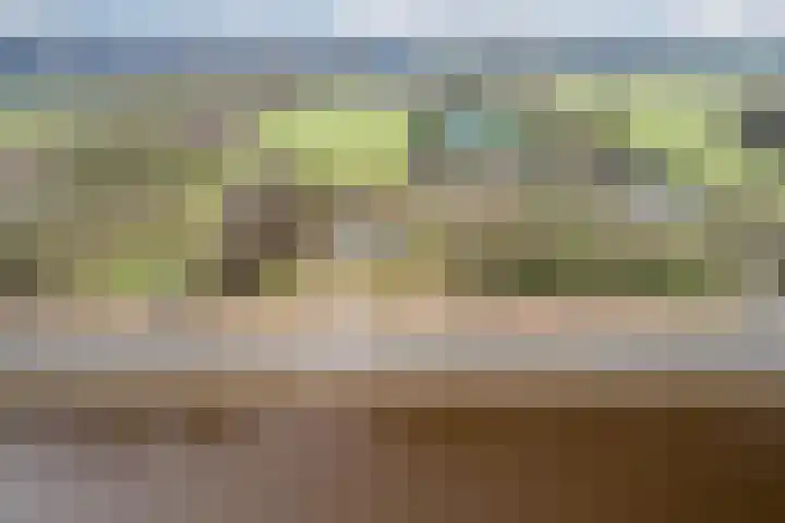 Noorderweg 45 Vroomshoop thumbnail 9