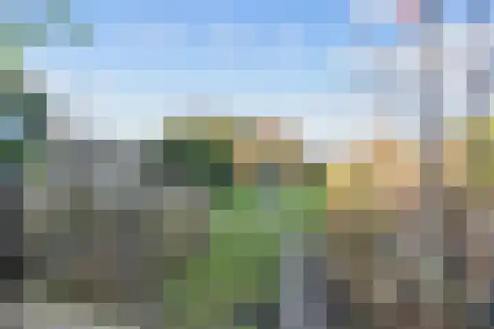Noorderweg 66 Siddeburen thumbnail 35