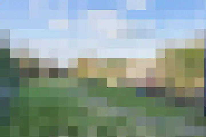 Noorderweg 66 Siddeburen thumbnail 36
