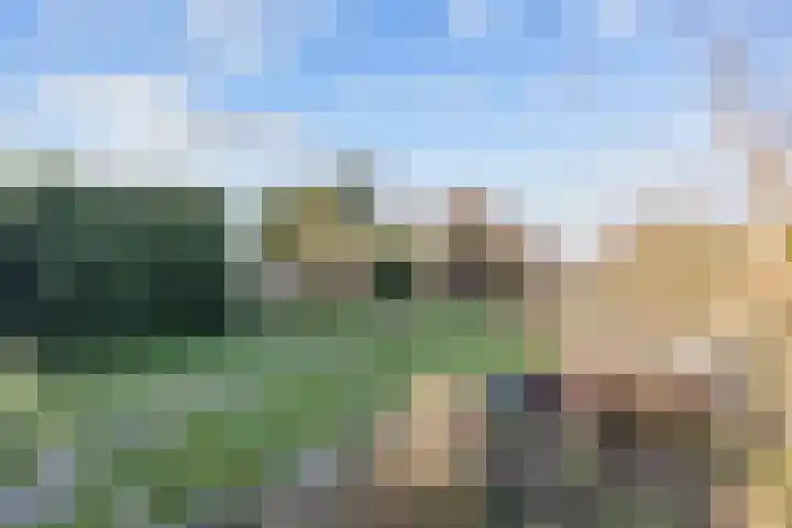 Noorderweg 66 Siddeburen thumbnail 37