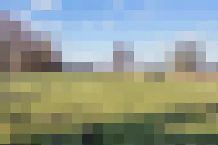 Noorderweg 66 Siddeburen thumbnail 41