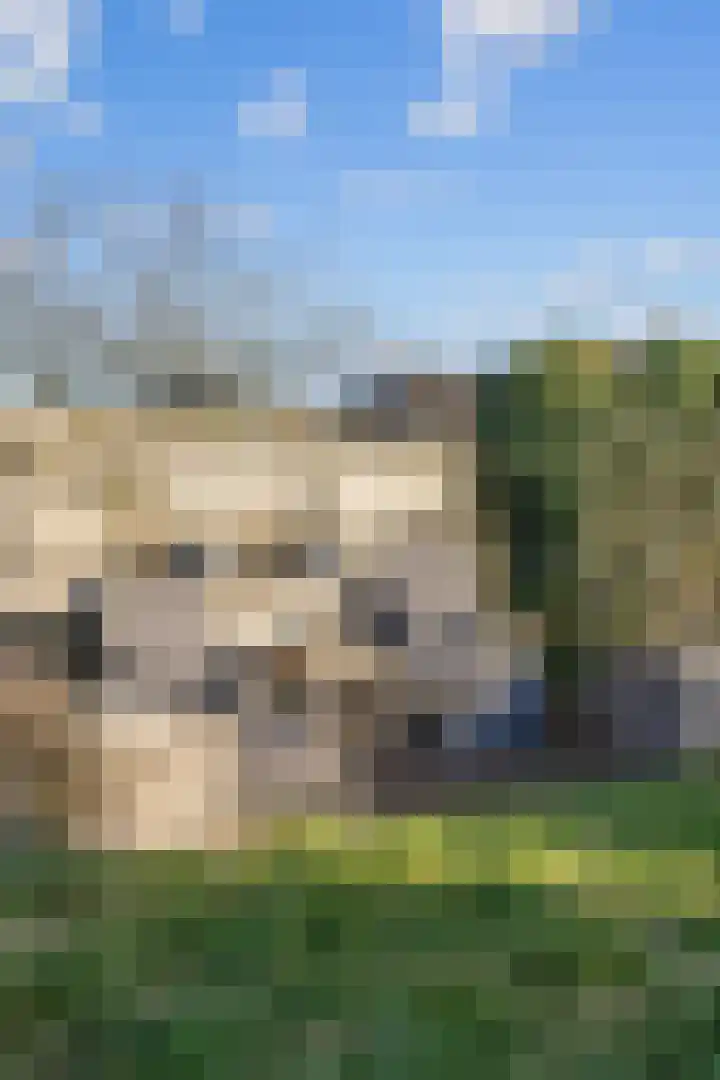 Noorderweg 66 Siddeburen thumbnail 42