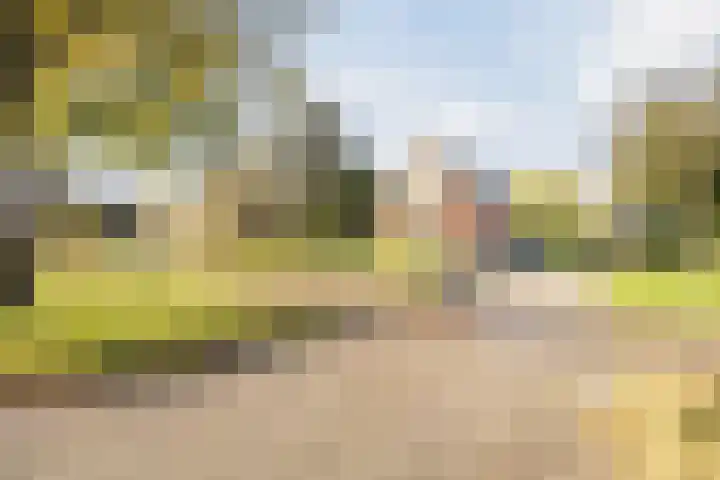 Noorderweg 74 Geerdijk thumbnail 47